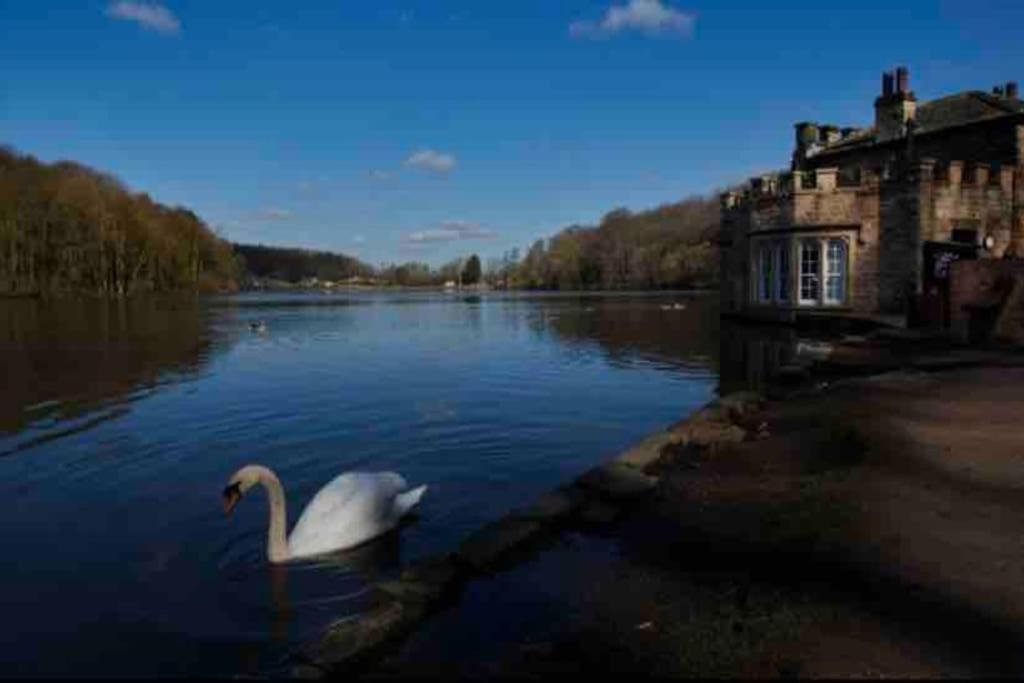 Millstone Cottage Newmillerdam Hill Top Dış mekan fotoğraf
